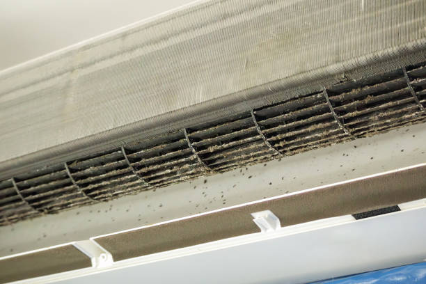 Best Affordable Air Duct Cleaning  in Wona Lake, IN